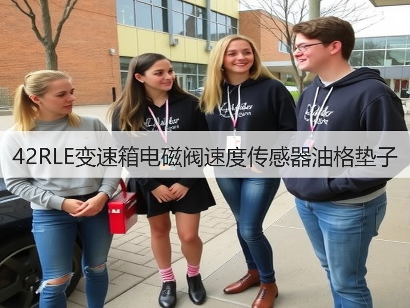 42RLE变速箱电磁阀速度传感器油格垫子
