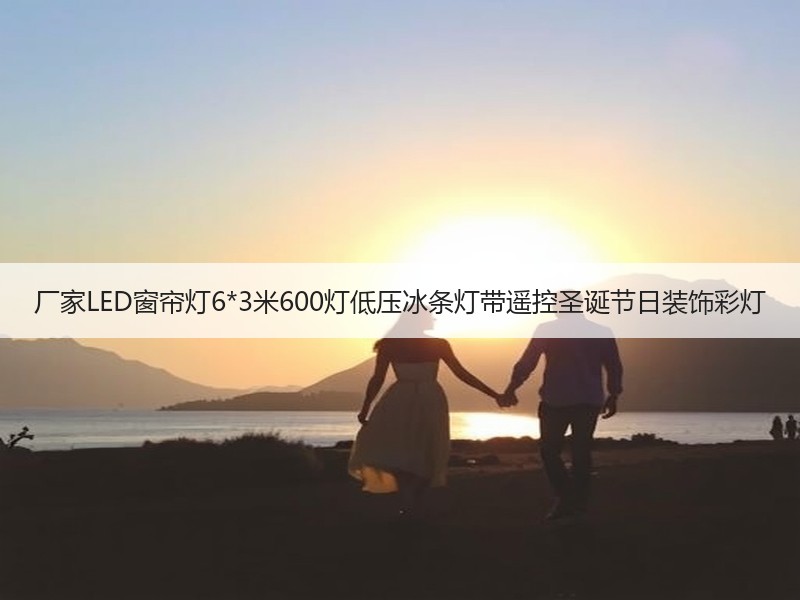 厂家LED窗帘灯6*3米600灯低压冰条灯带遥控圣诞节日装饰彩灯