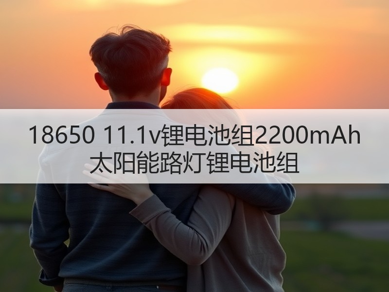 18650 11.1v锂电池组2200mAh 太阳能路灯锂电池组