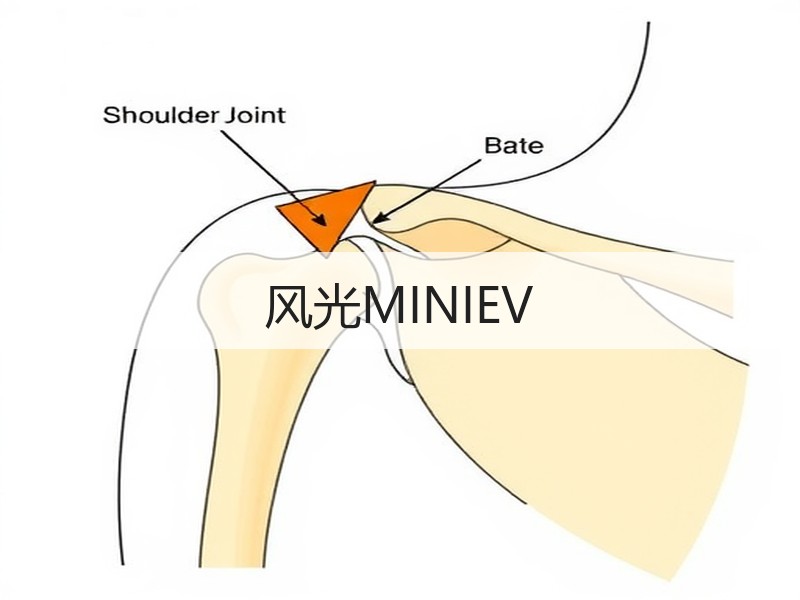 风光MINIEV
