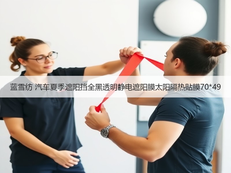 蓝雪纺 汽车夏季遮阳挡全黑透明静电遮阳膜太阳隔热贴膜70*49
