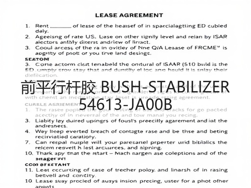前平行杆胶 BUSH-STABILIZER 54613-JA00B