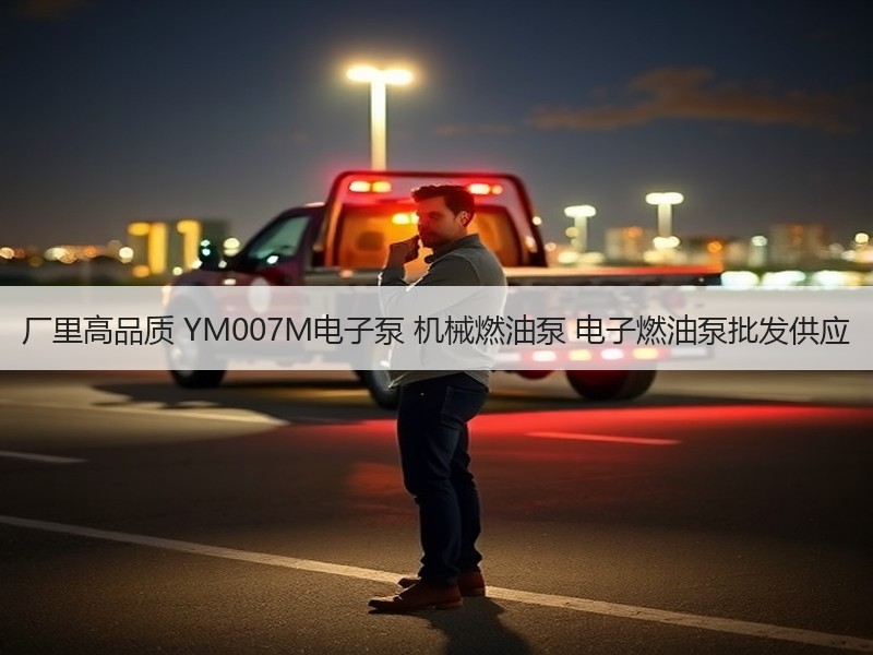 厂里高品质 YM007M电子泵 机械燃油泵 电子燃油泵批发供应