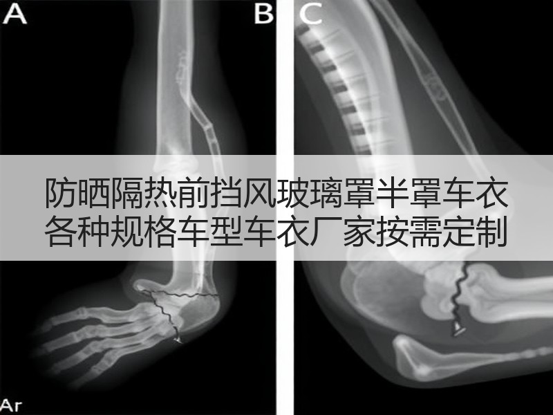 防晒隔热前挡风玻璃罩半罩车衣 各种规格车型车衣厂家按需定制