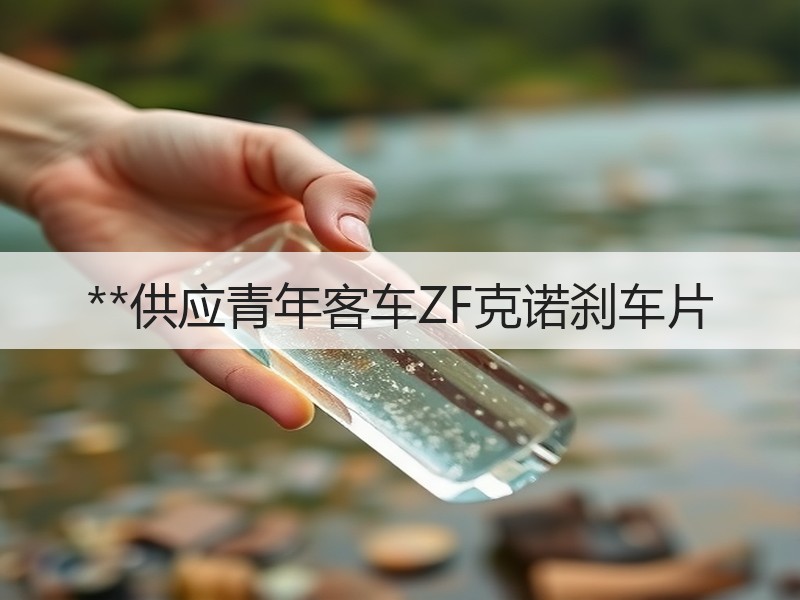 **供应青年客车ZF克诺刹车片