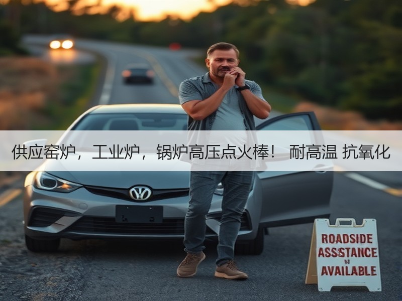 供应窑炉，工业炉，锅炉高压点火棒！ 耐高温 抗氧化