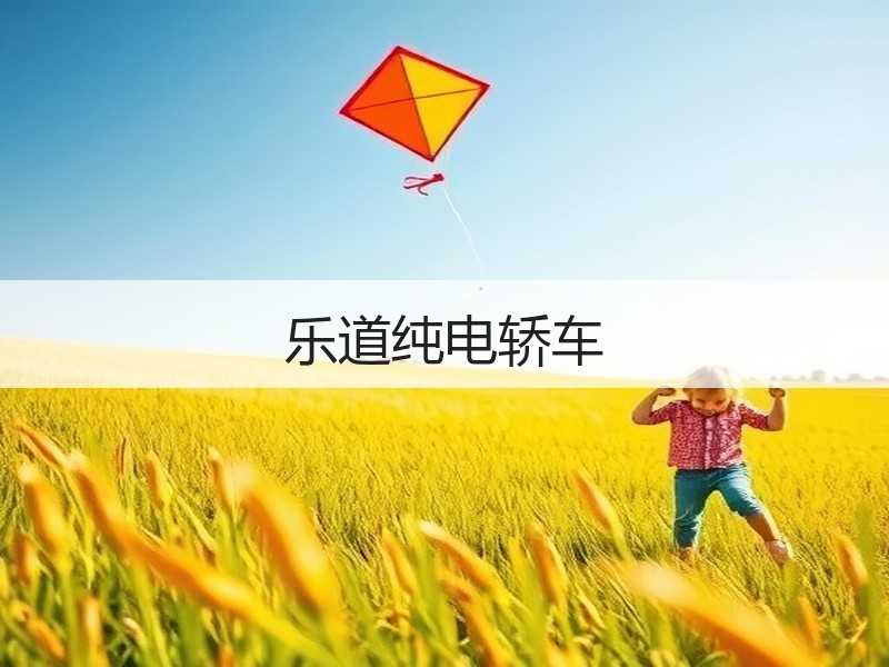 乐道纯电轿车