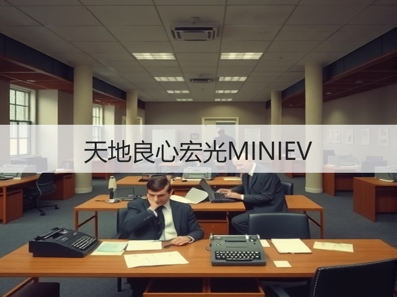 天地良心宏光MINIEV