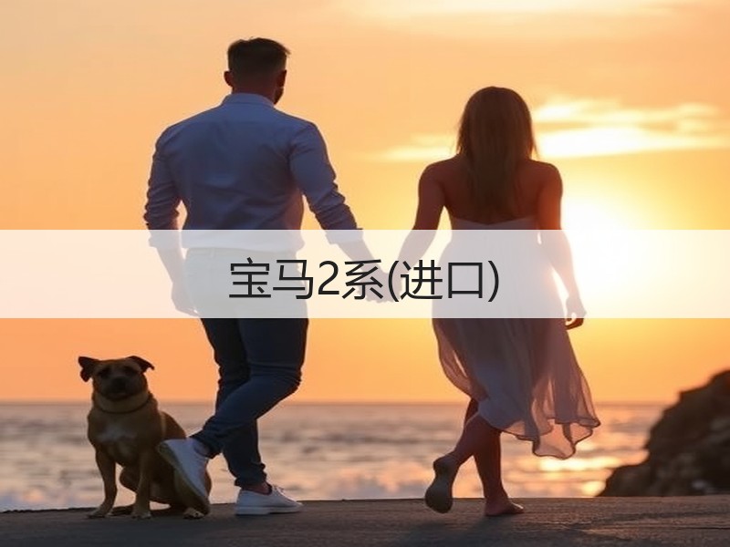 宝马2系(进口)