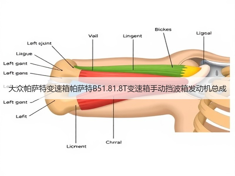 大众帕萨特变速箱帕萨特B51.81.8T变速箱手动挡波箱发动机总成