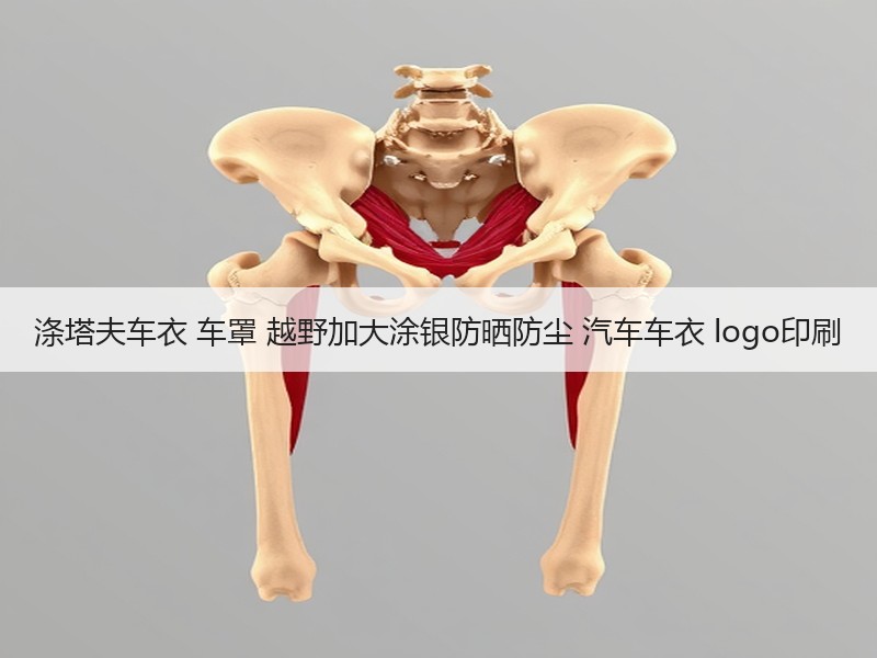涤塔夫车衣 车罩 越野加大涂银防晒防尘 汽车车衣 logo印刷