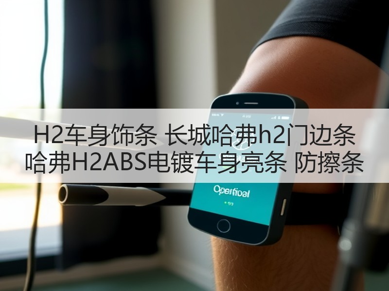 H2车身饰条 长城哈弗h2门边条 哈弗H2ABS电镀车身亮条 防擦条