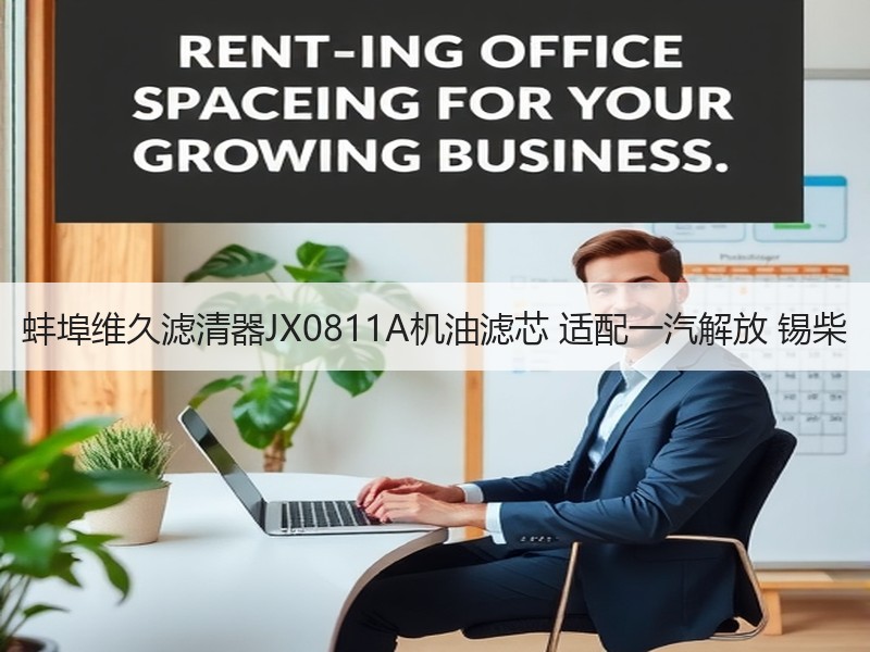蚌埠维久滤清器JX0811A机油滤芯 适配一汽解放 锡柴