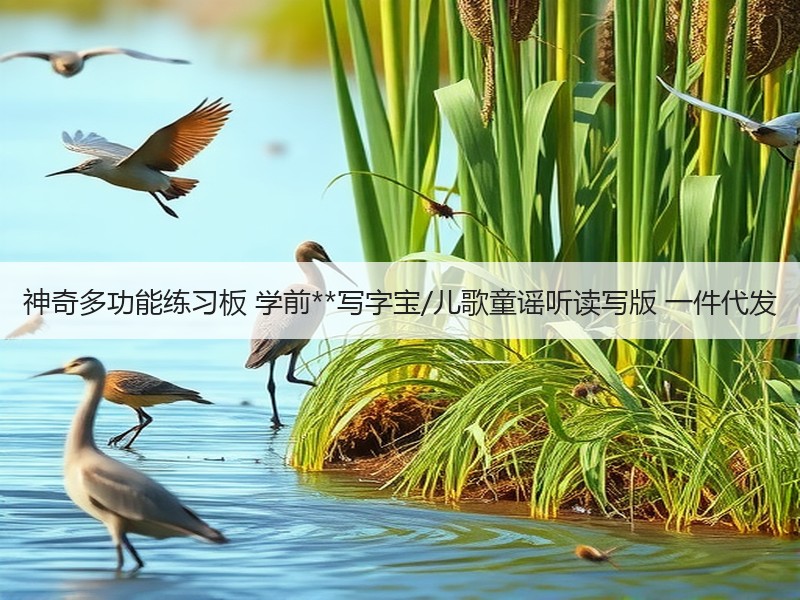 神奇多功能练习板 学前**写字宝/儿歌童谣听读写版 一件代发
