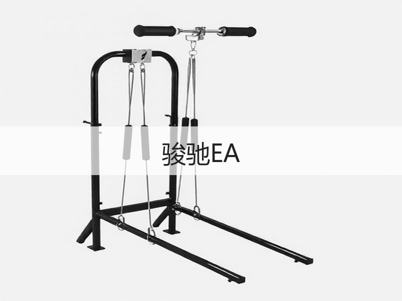骏驰EA