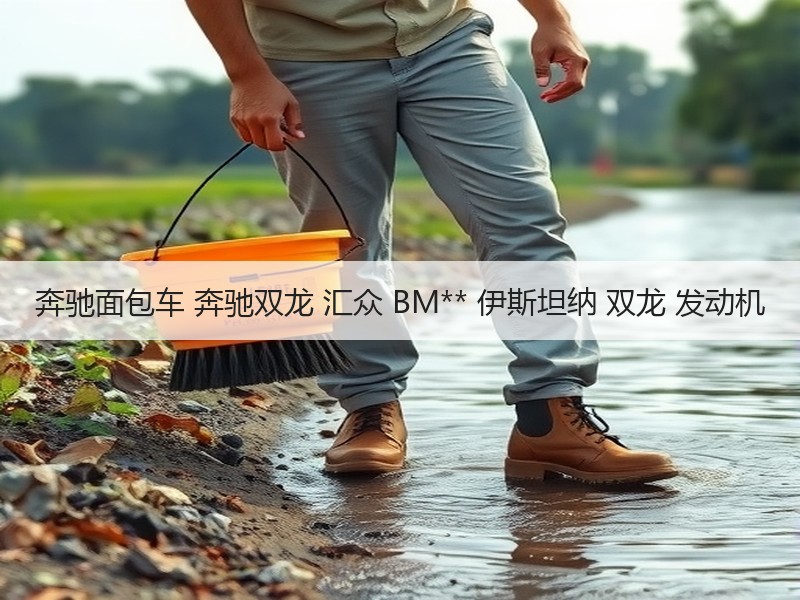 奔驰面包车 奔驰双龙 汇众 BM** 伊斯坦纳 双龙 发动机