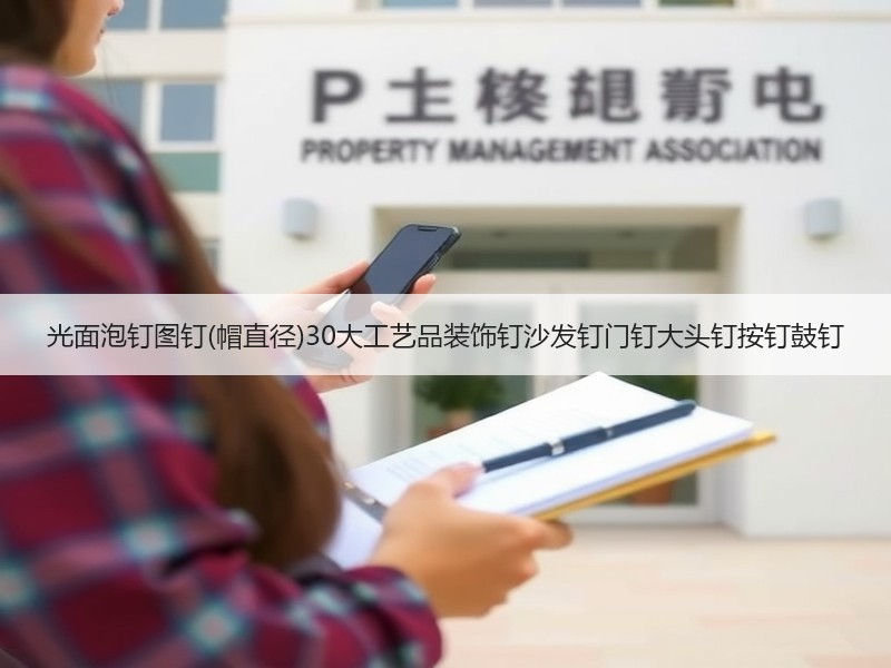光面泡钉图钉(帽直径)30大工艺品装饰钉沙发钉门钉大头钉按钉鼓钉