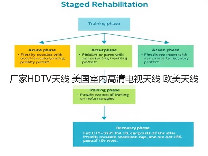 厂家HDTV天线 美国室内高清电视天线 欧美天线