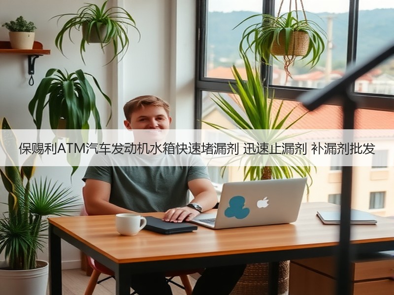 保赐利ATM汽车发动机水箱快速堵漏剂 迅速止漏剂 补漏剂批发