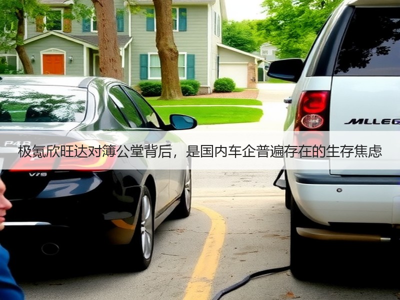 极氪欣旺达对簿公堂背后，是国内车企普遍存在的生存焦虑