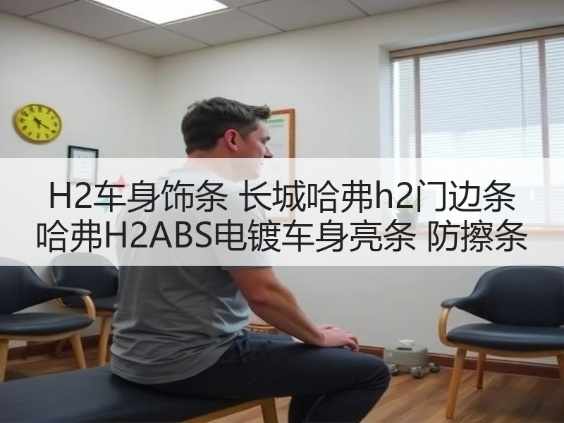 H2车身饰条 长城哈弗h2门边条 哈弗H2ABS电镀车身亮条 防擦条