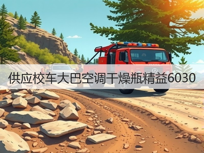 供应校车大巴空调干燥瓶精益6030