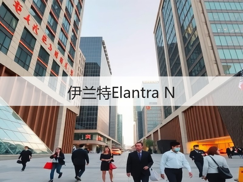 伊兰特Elantra N