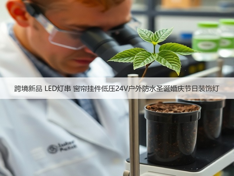 跨境新品 LED灯串 窗帘挂件低压24V户外防水圣诞婚庆节日装饰灯