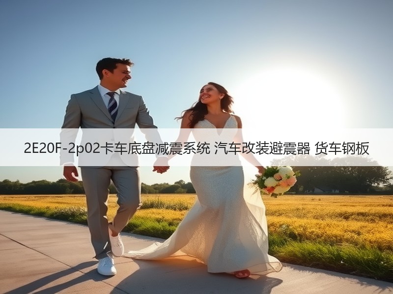2E20F-2p02卡车底盘减震系统 汽车改装避震器 货车钢板