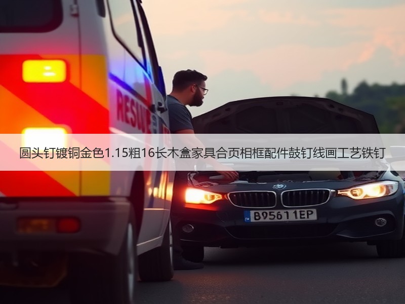 圆头钉镀铜金色1.15粗16长木盒家具合页相框配件鼓钉线画工艺铁钉