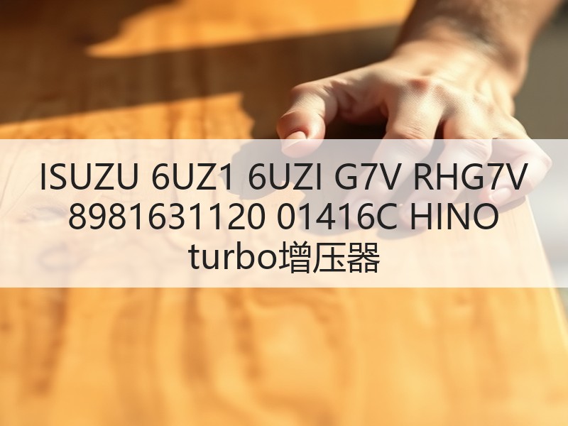 ISUZU 6UZ1 6UZI G7V RHG7V 8981631120 01416C HINO turbo增压器