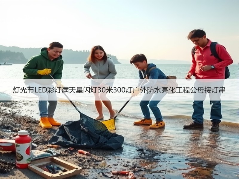 灯光节LED彩灯满天星闪灯30米300灯户外防水亮化工程公母接灯串