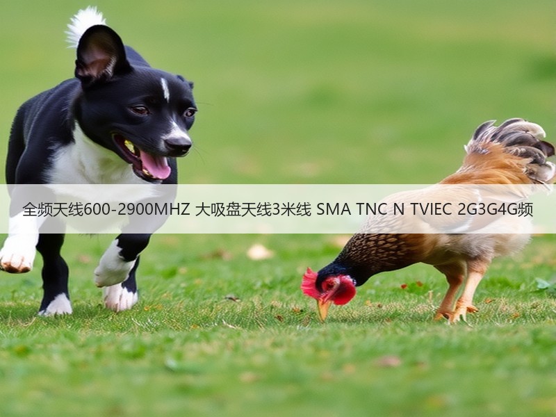 全频天线600-2900MHZ 大吸盘天线3米线 SMA TNC N TVIEC 2G3G4G频