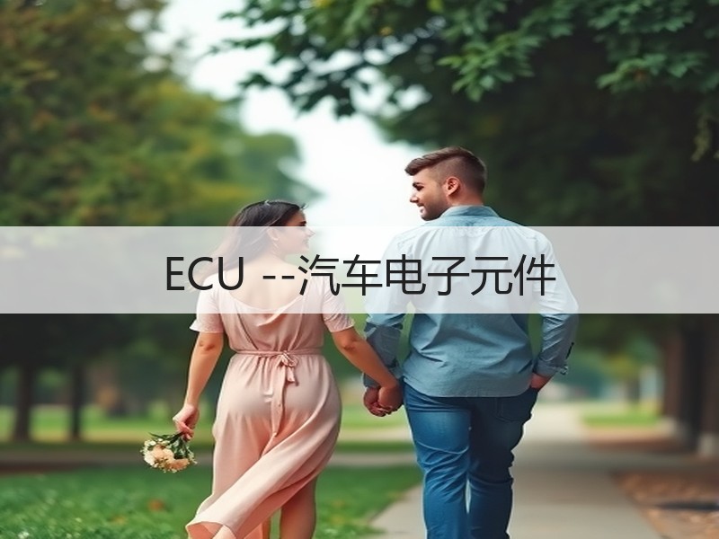 ECU --汽车电子元件