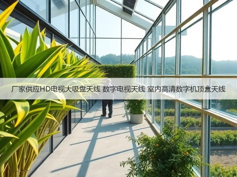 厂家供应HD电视大吸盘天线 数字电视天线 室内高清数字机顶盒天线