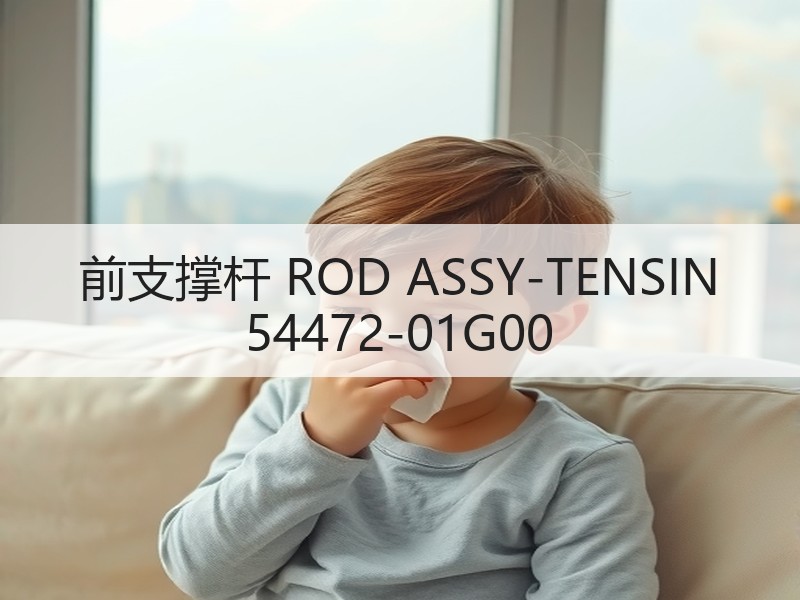 前支撑杆 ROD ASSY-TENSIN 54472-01G00