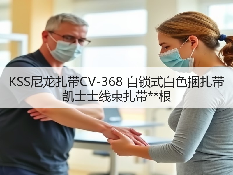 KSS尼龙扎带CV-368 自锁式白色捆扎带 凯士士线束扎带**根