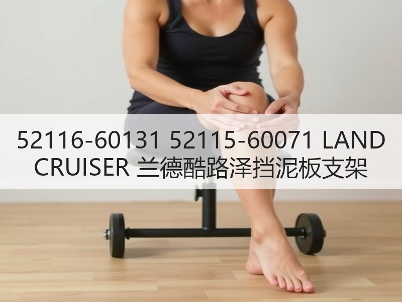 52116-60131 52115-60071 LAND CRUISER 兰德酷路泽挡泥板支架