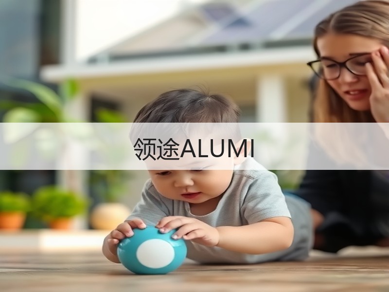 领途ALUMI