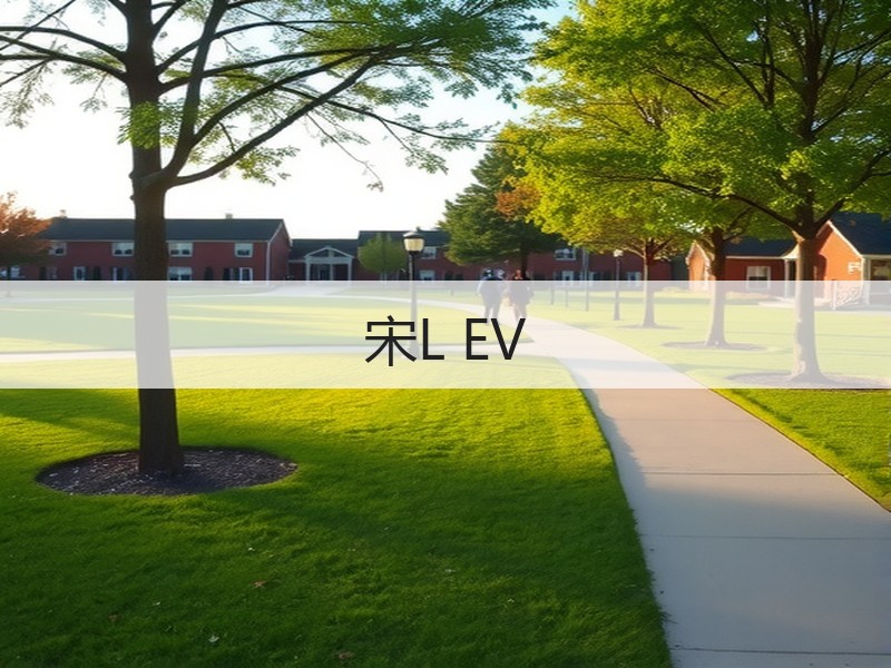 宋L EV